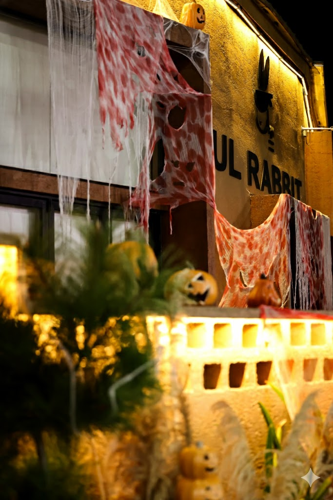 This Thanksgiving, Explore the Unknown and Savor Abundance with UL RABBIT!